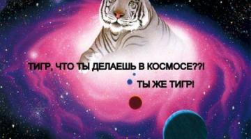 #чтиво | 6 легендарных животных-космонавтов