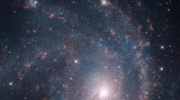 Звезда N6946-BH1 загадочно исчезла из Вселенной‍
