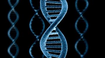 Генетики: Человек продолжает эволюционировать