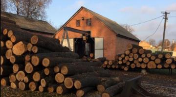 В Харьковской области будут судить 8 чиновники лесхоза, нанесших ущерб государству на сумму около 100 млн грн