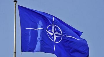 Решение о вступлении Украины в НАТО должен принять народ – Полторак
