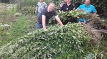 В Винницкой области полиция изъяла у сельской жительницы около 10 кг наркотиков