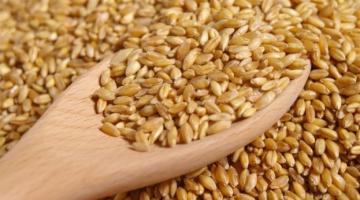 Після перемоги на тендері в Єгипті українська пшениця суттєво здорожчала