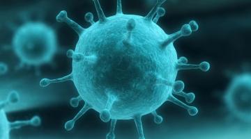 Ученые приблизились к созданию универсальной вакцины от гриппа