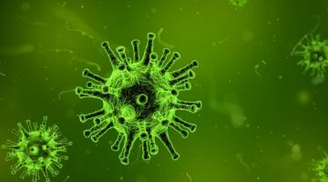 Откуда взялись современные вирусы: ученые провели необычное исследование