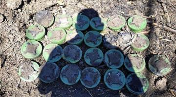 В районе Водяного украинские саперы обезвредили 25 российских противопехотных мин