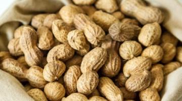 В Україні набирає популярності вирощування арахісу